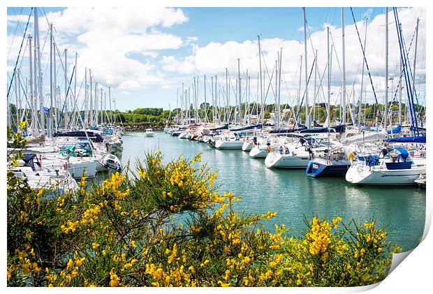 Marina in Brittany France Print by Susan Sanger