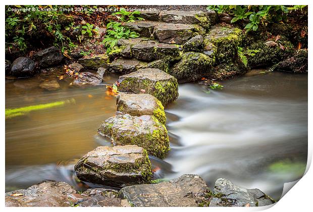 Across the River - Stepping Stones Print by Christine Smart