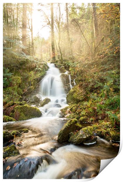 A Woodland Walk by the Waterfall Print by Christine Smart