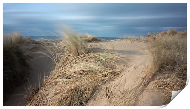 Sand Dunes and Salty Air Print by Rich Berry