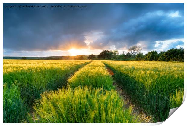 Dramatic Sunset over Barley Fields Print by Helen Hotson