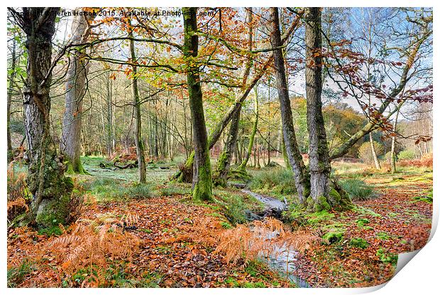 Forest Stream in Autumn Print by Helen Hotson