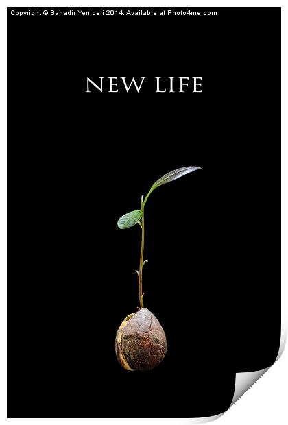 New Life Print by Bahadir Yeniceri