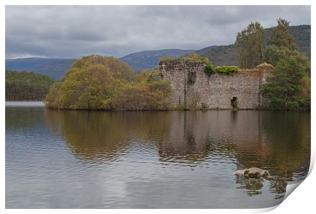 Loch an Eilean Castle Print by Bahadir Yeniceri