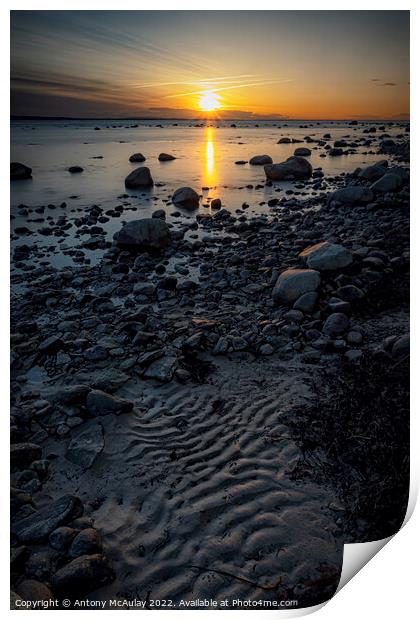 Hittarp Rocky Coastline at Sunset Print by Antony McAulay