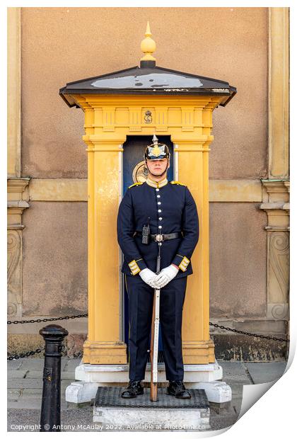 Stockholms Royal Palace Sentry Guard Print by Antony McAulay