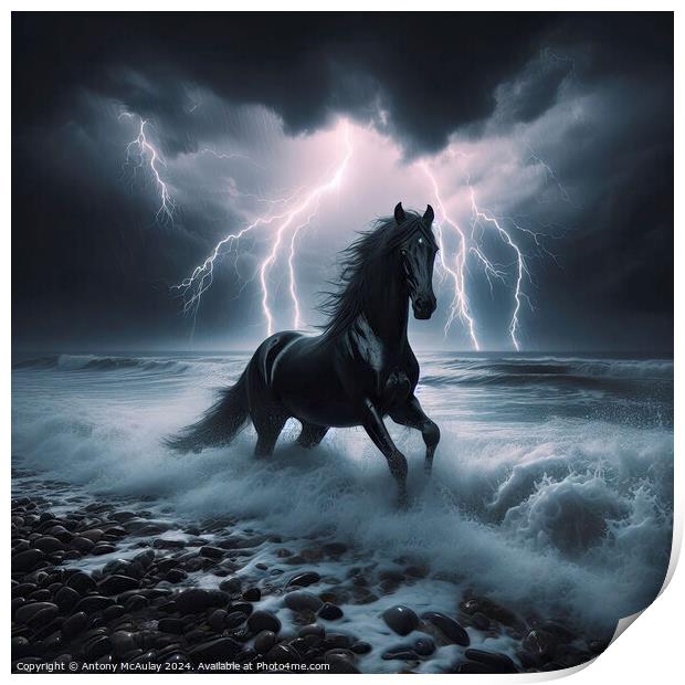 Black Stallion in a Storm Print by Antony McAulay