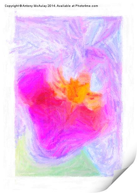 Abstract Orchid Pastel Print by Antony McAulay