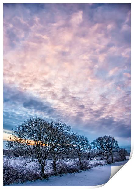 Winter Dawn Print by Antony McAulay