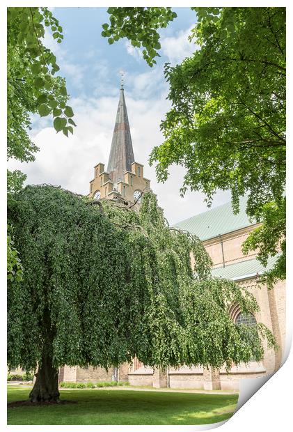 Halmstad Church in Summertime Print by Antony McAulay