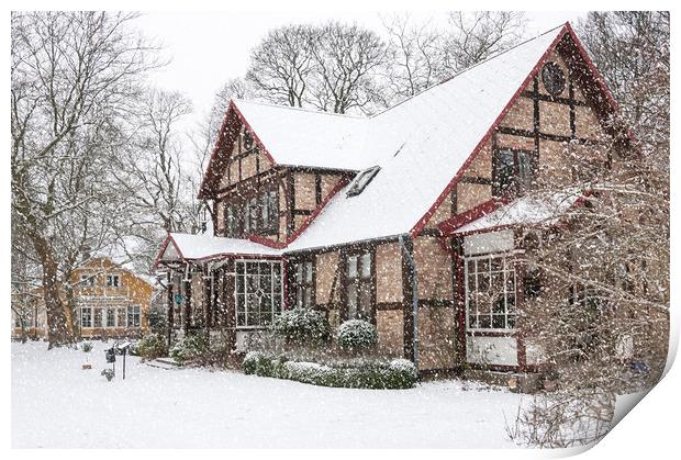 ramlosa brunnspark house in winter Print by Antony McAulay