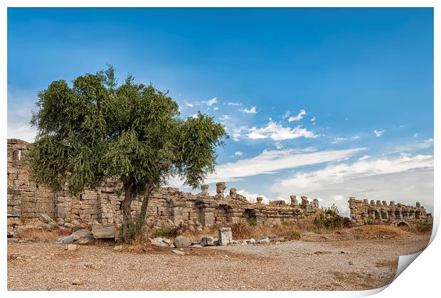 Lonely Tree at Side City Wall Ruins Print by Antony McAulay