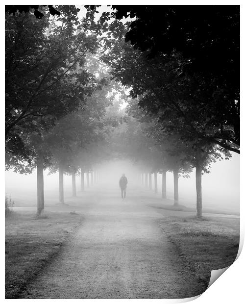 Foggy Autumn Morning Print by Antony McAulay