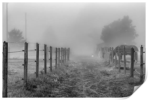 Foggy Morning Country Lane Print by Antony McAulay