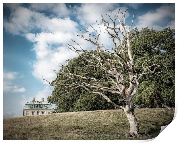Dyrehaven Hermitage Palace And The Dead Tree Print by Antony McAulay