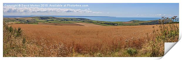 Wheat Ready for the Harvest Print by David Morton