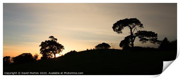Trees Silhouetted Against Evening Sky Print by David Morton