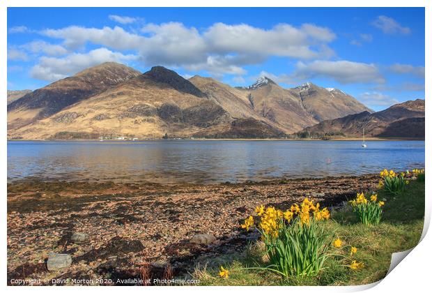 Five Sisters of Kintail  across Loch Duich Print by David Morton