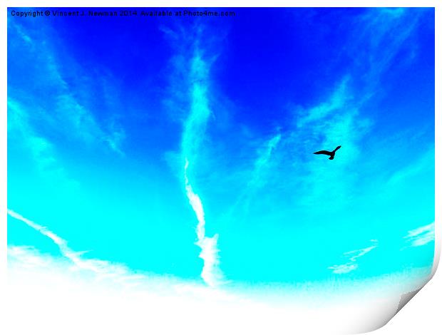 Bird In The Sky- Abstract Photography Print by Vincent J. Newman