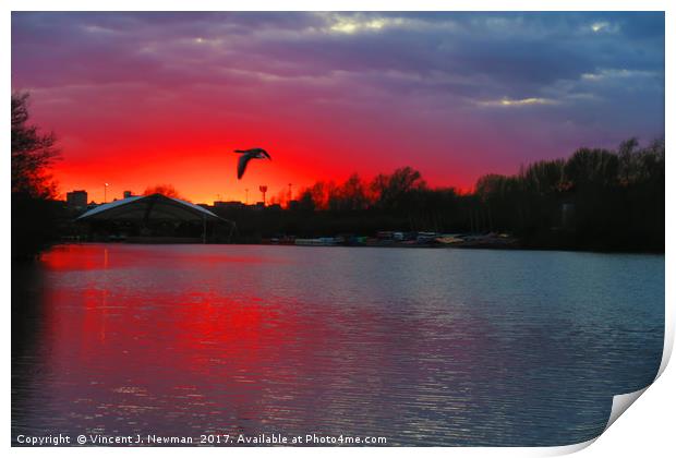 Sunset at Whitlingham Lake, Norwich, U.K Print by Vincent J. Newman