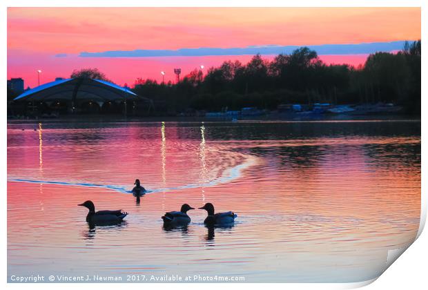 Sunset at Whitlingham Lake, Norwich, U.K  Print by Vincent J. Newman