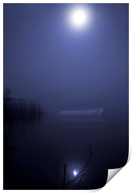 Moonlight Serenade Print by Steve Hardiman