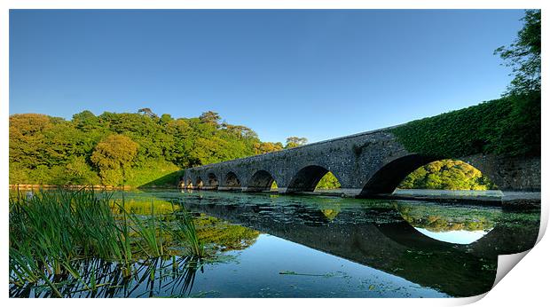 The Bridge Print by Mark Robson