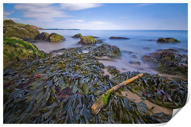 Along The Shore Print by Mark Robson
