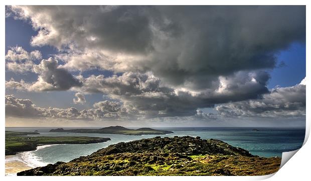 Ramsey Island Print by Mark Robson