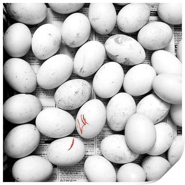 Duck eggs Print by richard pereira