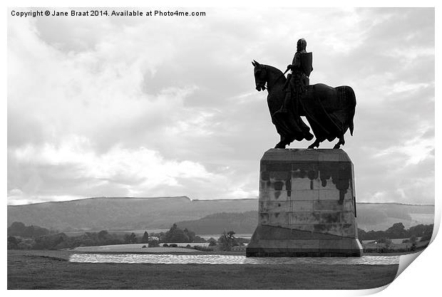 The Defiant King Print by Jane Braat