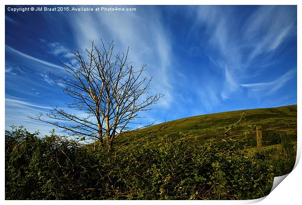 Lone Tree Landscape  Print by Jane Braat