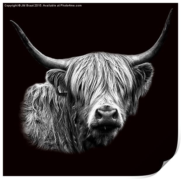 Majestic Scottish Highland Cow Print by Jane Braat