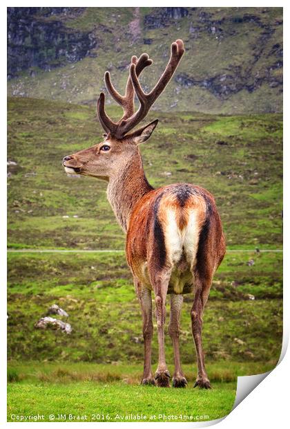 Majestic Highland Stag in Scotland Print by Jane Braat