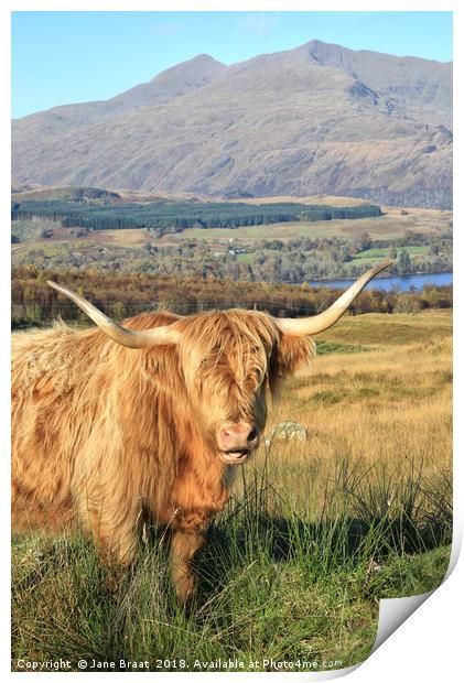 Serene Highland Cow Grazing by Loch Awe Print by Jane Braat