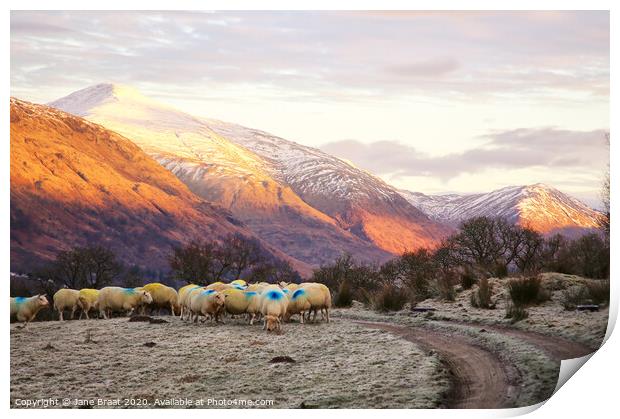Argyll Winter Landscape Print by Jane Braat
