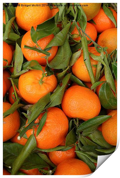 Clementines Print by Bridget McGill