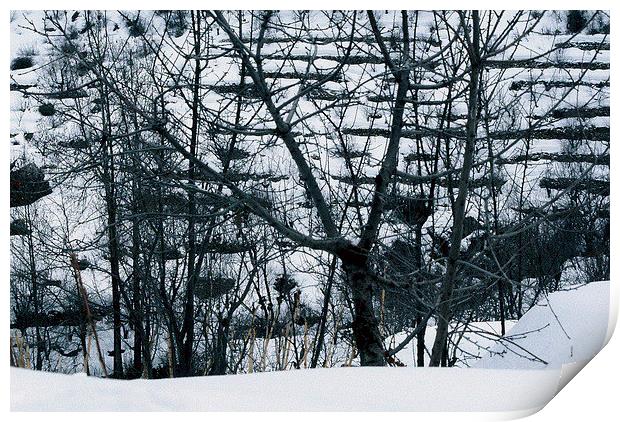Winter Terraces Print by Jacqueline Burrell