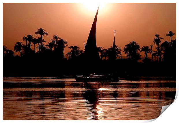 Nile Feluccas at Sunset Print by Jacqueline Burrell