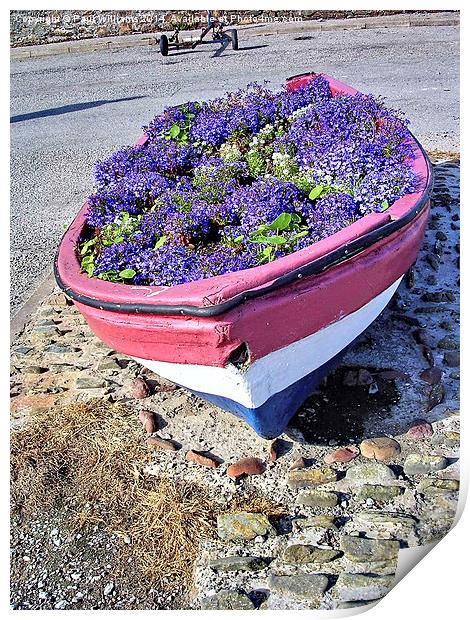 Floral  Boat Print by Paul Williams