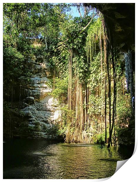  Cenote Print by Paul Williams
