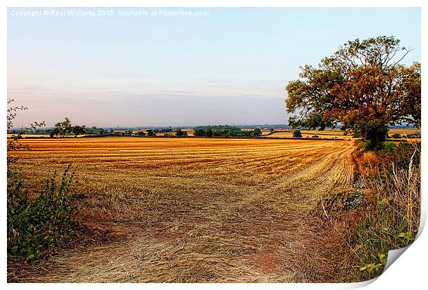 Harvested Fields at Dusk Print by Paul Williams