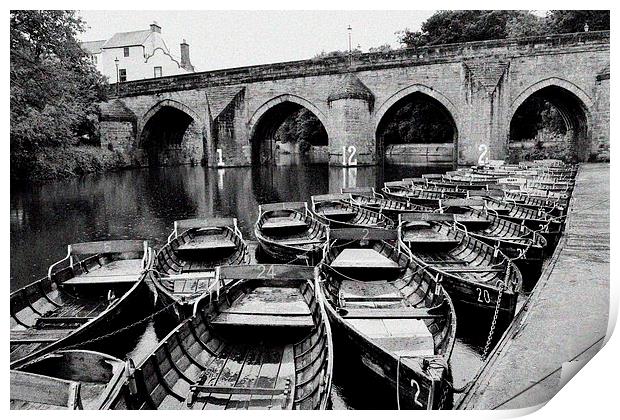 Rowing boats on Durham river Print by DARREN WHITE
