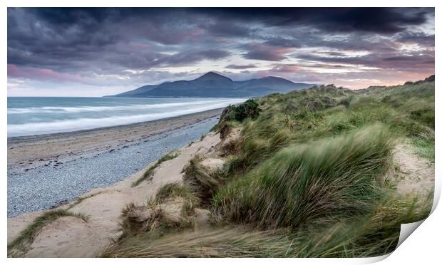 Murlough Beach Sand Dunes Mourne Mountains Norther Print by Chris Curry