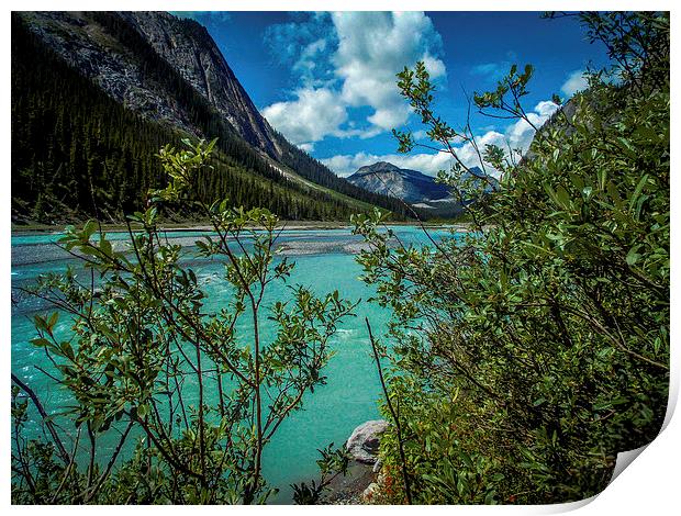  Bow River flowing Rocky Mountains Canada Print by Chris Curry