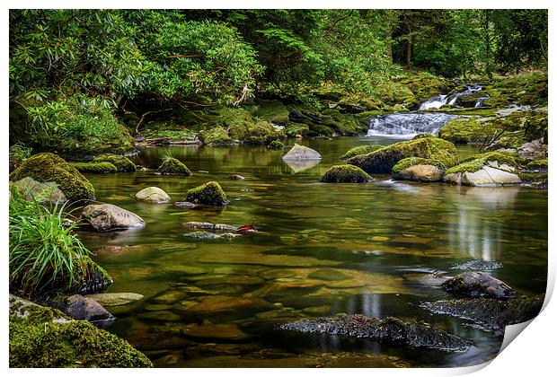  Mournes Shimna River Tollymore Forest Print by Chris Curry