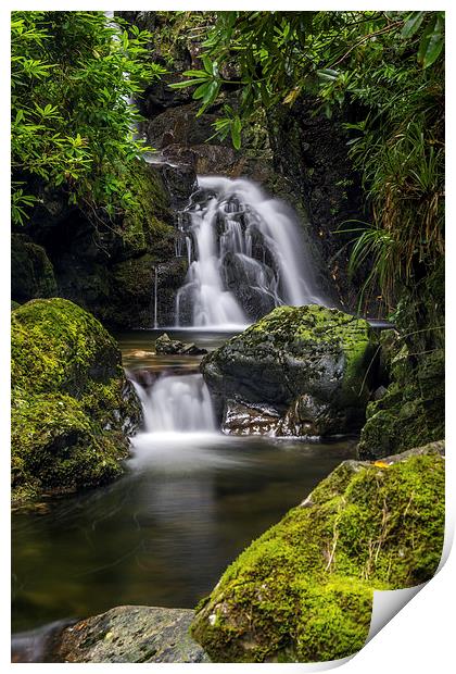  Waterfall Ireland Tollymore Forest  Print by Chris Curry