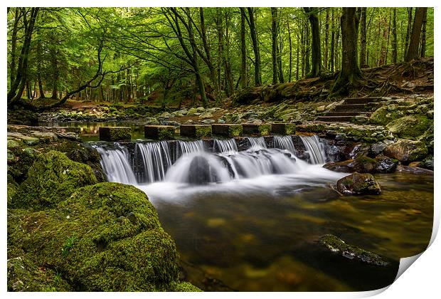  Stepping Stones Tollymore Forest Mournes Ireland Print by Chris Curry