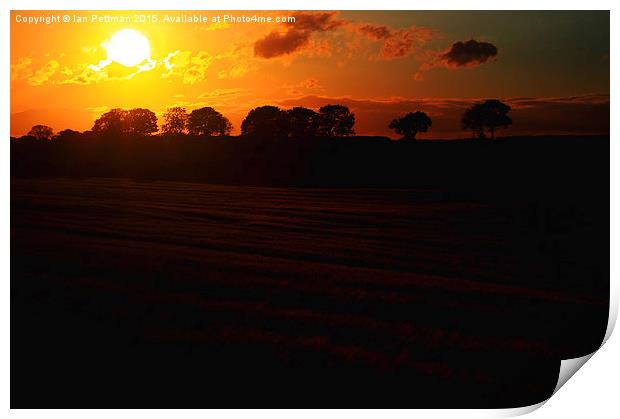  Wheat Field Sun Set Print by Ian Pettman