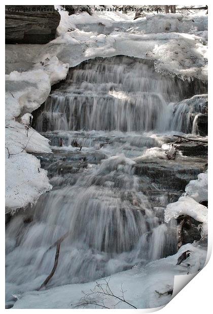  Spring Thaw Print by Rebecca Hansen